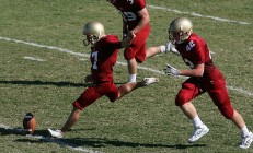 ac米兰下载-黄鸭组合火力全开助德国队完胜泰国，羽坛新格局初现？