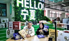 米兰体育app入口-宁夏队客场挑战艰难，备受压力的简单介绍