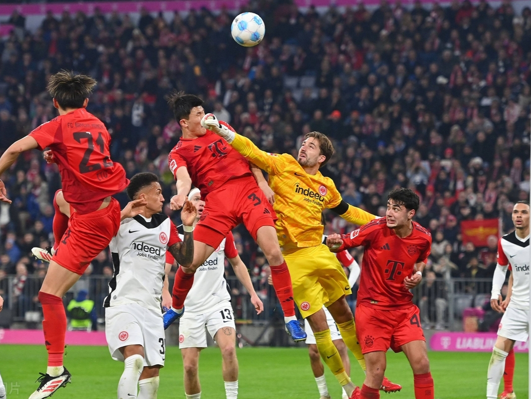 关于拜仁慕尼黑击败里昂，德甲豪门保持不败的信息