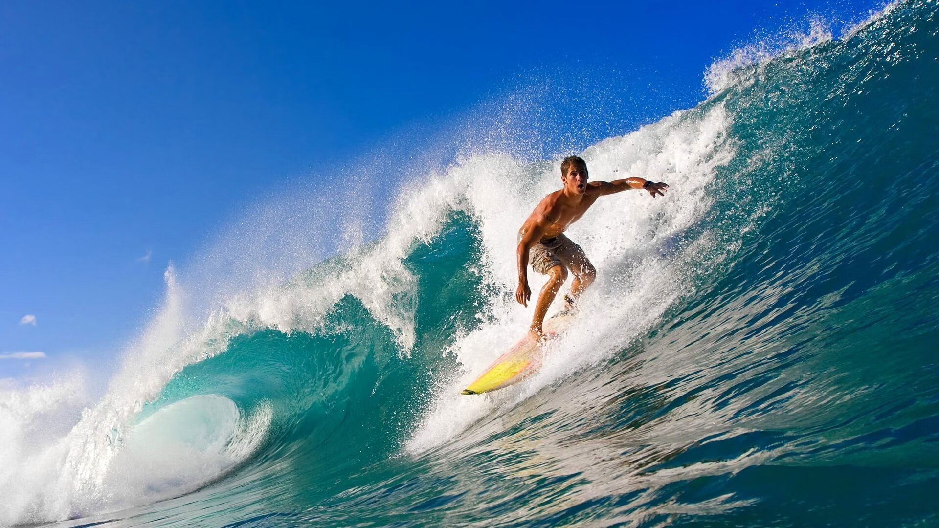 世界杯焦点战，委内瑞拉火力全开，压制新西兰晋级之路